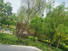 -迎泽公园