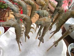 -尚海豆捞(乐虹坊店)