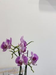 -德绣·机器野生眉发际线·美瞳线半永久