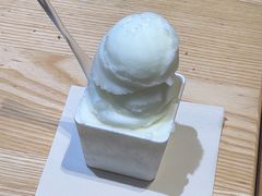 -野人先生现做冰淇淋(北京顺义祥云小镇店)