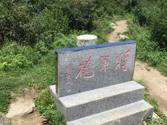 -王顺山国家森林公园