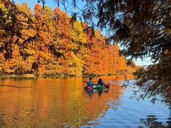 -上海海湾国家森林公园