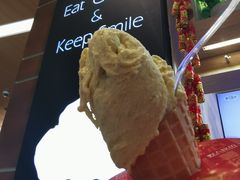 -野人先生现做冰淇淋(北京环宇荟店)