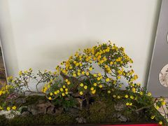 -杭州植物园