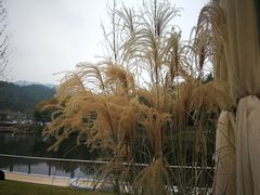 -海兰云天度假区温泉