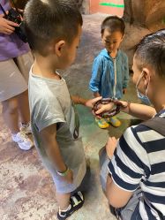 -酷嗒动物文化乐园(cutezoo西溪乐天城店)