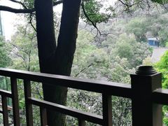 -巴倒烫陆派重庆火锅(南山店)