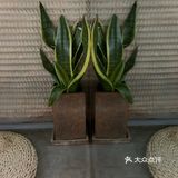 那天溜达着就近找了一家，就这样来到铁手 点了杯dir