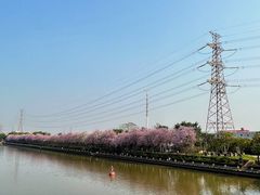 -南丰汇(新港东路店)