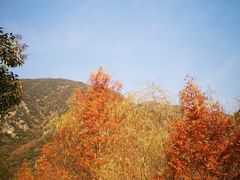 -郧西五龙河风景区