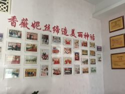 -香薇妮丝·定制减肥·身材管理