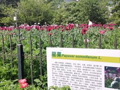 -国家植物园南园