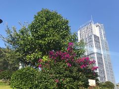 -百林公园-两江幸福广场