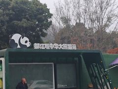-都江堰中华大熊猫苑