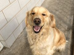 -北京观赏动物医院·24小时大型综合·猫专科·异宠专科