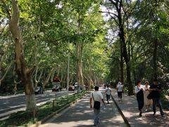 -南京东郊国宾馆