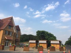 -大塘金香草谷