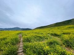 -扁都口生态休闲旅游区
