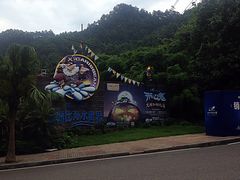 -重庆海昌加勒比海水世界