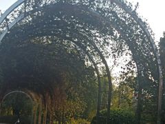 -人民公园(罗湖区)