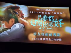 -英皇电影城(平安金融中心IMAX激光店)