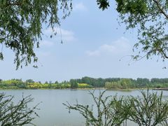 -东郊湿地公园