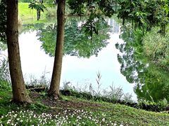 -眉山湿地公园(东坡区)