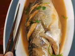 -前海沿·青岛菜(大拇指广场石老人店)