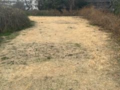 -东关历史文化旅游区-东门遗址