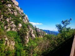 -大岭沟猕猴桃谷风景区