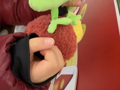 -红星美凯龙北京至尊MALL(东四环中路店)