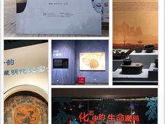 -昆明市博物馆(昆明市文物保护和考古研究中心)