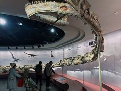 -自贡恐龙博物馆