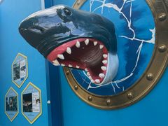 -海合安成都极地海洋公园