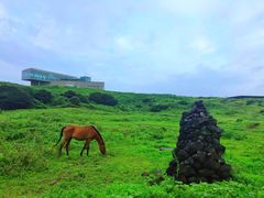 -涉地可支