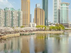 -珈境湖畔餐厅·湖北菜·江浙菜•樱花季(西北湖店)