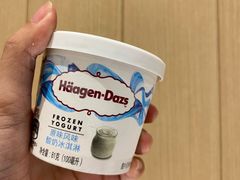 原味酸奶小纸杯-哈根达斯(深圳海岸城店)
