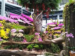 -南通洲际绿博园