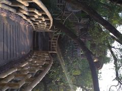 iphone_upload_pic-百鸟园