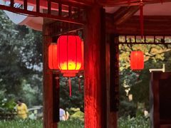 -金鸡山公园