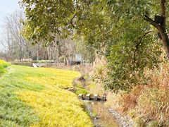 -中国天府农业博览园