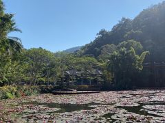 -野象谷景区