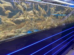 -0048鲜活香辣虾·火锅(铜陵路店)