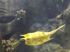 -福州罗源湾海洋世界旅游区