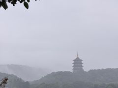 -杭州西湖柳莺里酒店