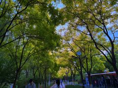 -南翠屏公园