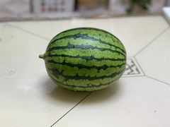 -庞各庄西瓜蔬菜采摘园·锦华瓜园