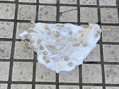 -爱侣宠医·鹦鹉专科·小型哺乳类·异宠专科(灵石路店)