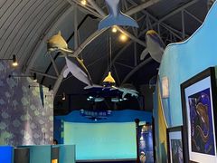 -烟台海昌鲸鲨海洋公园