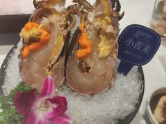 -海月轩海鲜豆捞(紫金塔店)